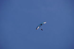 开云体育-全国青少年水上滑翔锦标赛天津盛大开幕,水上滑翔机价格