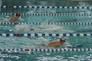 开云体育官网-全国青少年游泳锦标赛涌现多位新星,2021年青少年游泳锦标赛